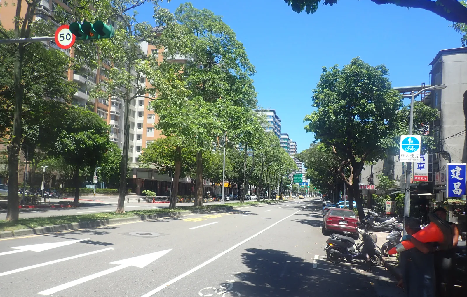 工地旁的林蔭大道,兩排行道樹綠意濃密,頭上是藍天